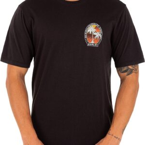 Hurley Men’s Everyday Washed Graphic T-Shirt