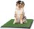 Artificial Grass Puppy Pee Pad for Dogs and Small Pets – 20×25 Reusable 3-Layer Training Potty Pad with Tray – Dog Housebreaking Supplies by PETMAKER